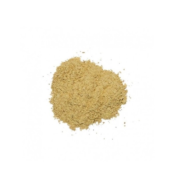 Costus Marin Moulu | Qist Bahri – 20 g, 50 g, 100 g